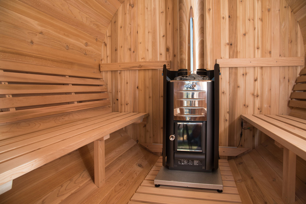 Виды печей для бани